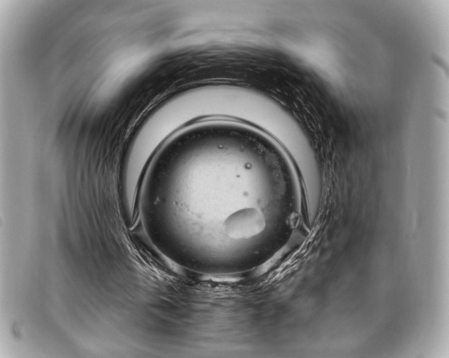 X0000098010146200804071336