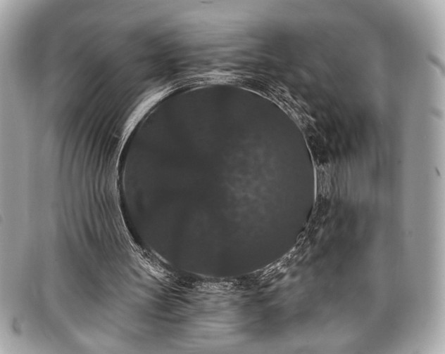 X0000098010147200804071336