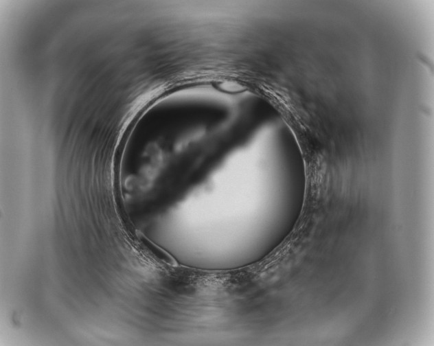 X0000098010148200804071336