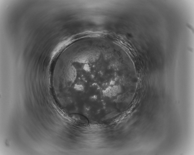 X0000098010149200804071336