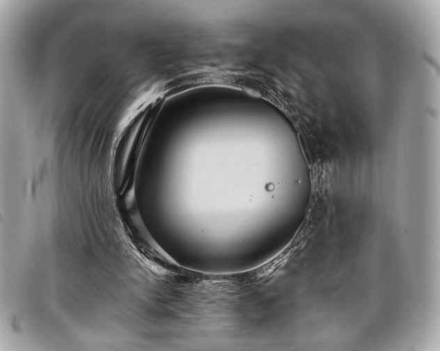 X0000098010150200804071336