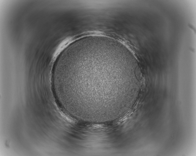 X0000098010151200804071336