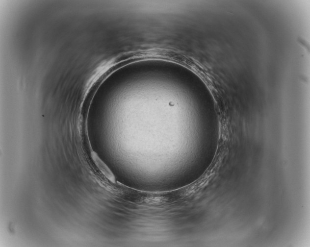 X0000098010152200804071336