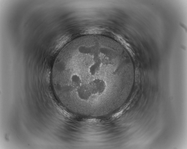 X0000098010153200804071336