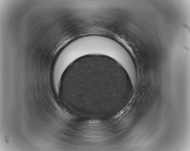 X0000098010154200804071336