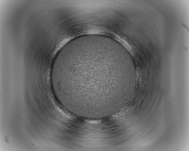 X0000098010155200804071336