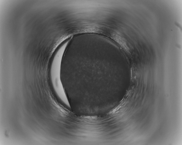 X0000098010156200804071336