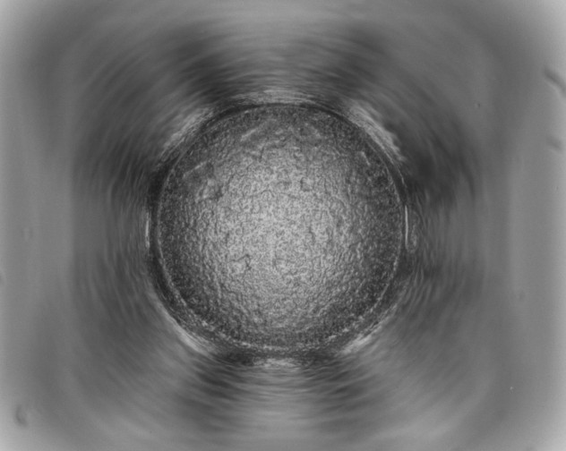 X0000098010157200804071336