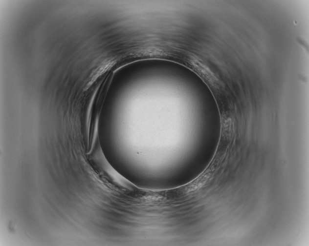 X0000098010158200804071336