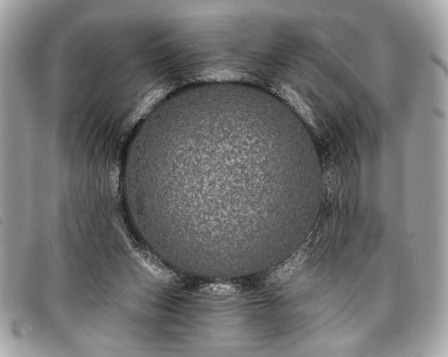 X0000098010159200804071336