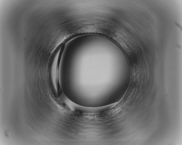 X0000098010160200804071336