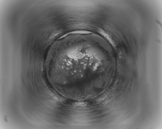 X0000098010161200804071336