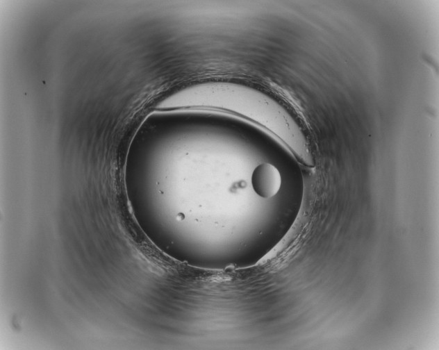 X0000098010162200804071336