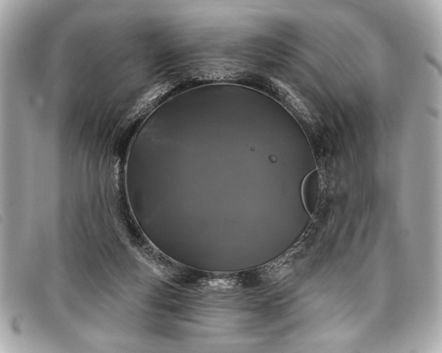 X0000098010163200804071336