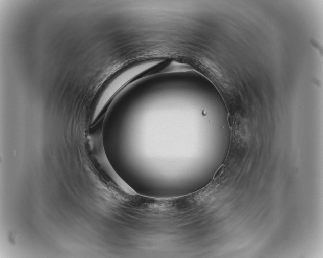 X0000098010164200804071337