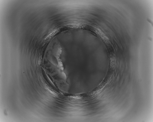 X0000098010165200804071337