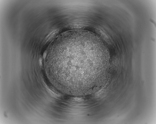 X0000098010166200804071337