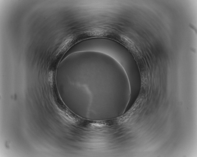 X0000098010167200804071337