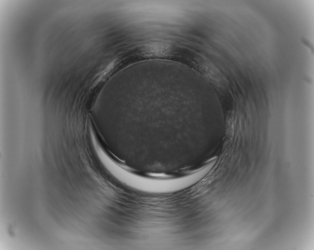 X0000098010168200804071337