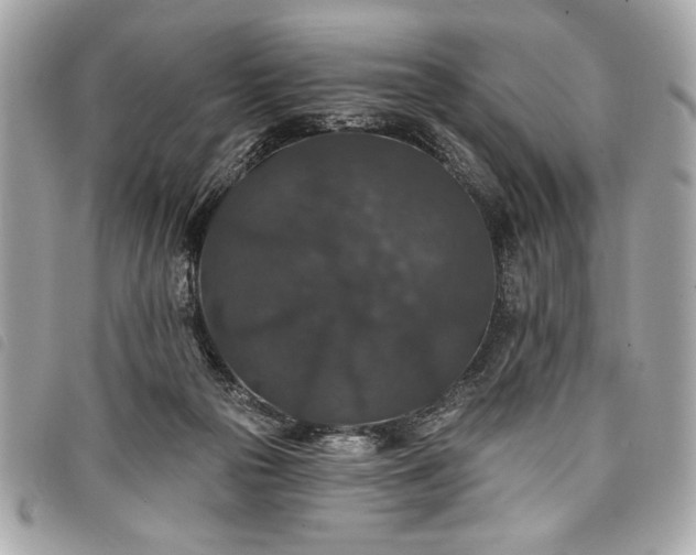 X0000098010169200804071337