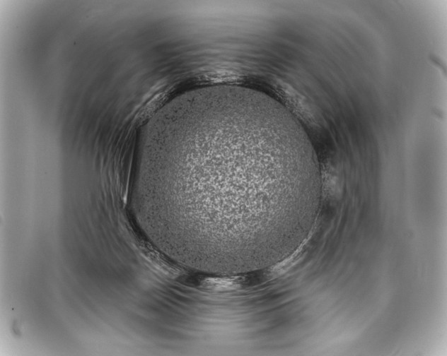 X0000098010170200804071337