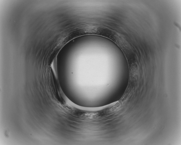 X0000098010172200804071337