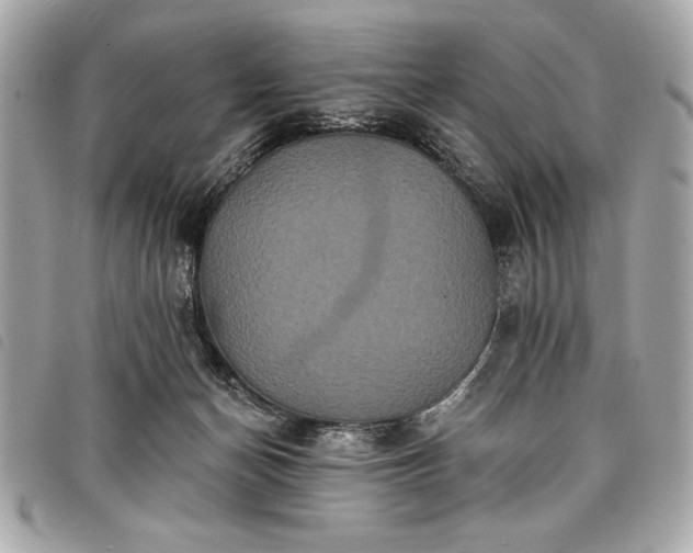 X0000098010174200804071337