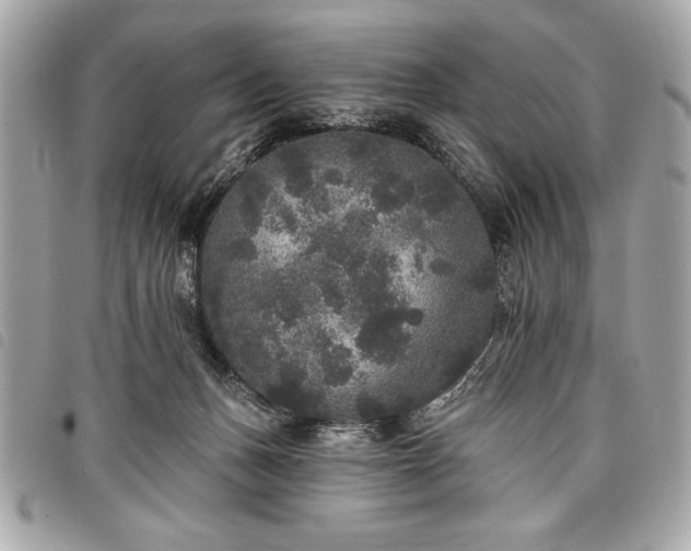 X0000098010175200804071337