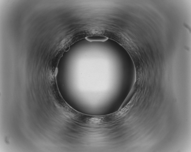 X0000098010176200804071337