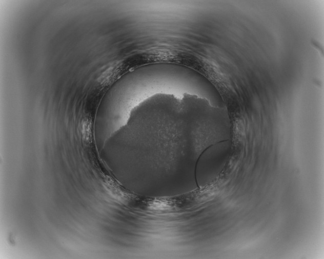 X0000098010177200804071337