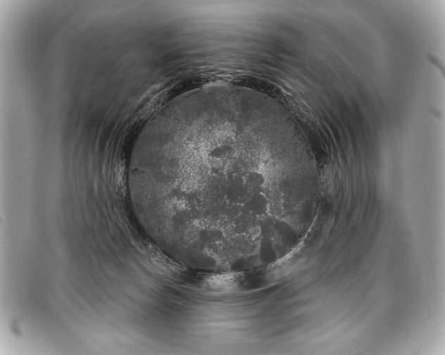 X0000098010178200804071337