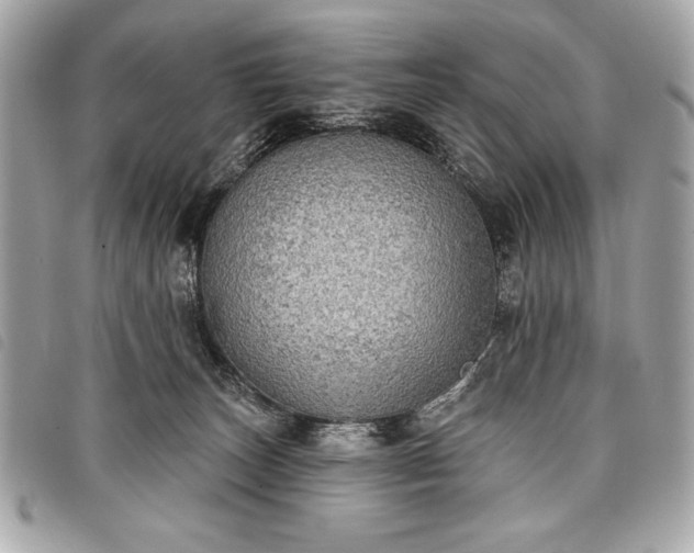 X0000098010179200804071337