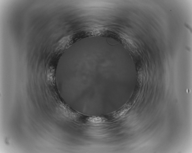 X0000098010181200804071337