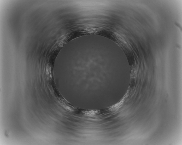 X0000098010182200804071337