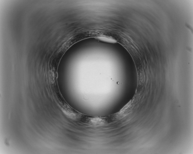 X0000098010183200804071337