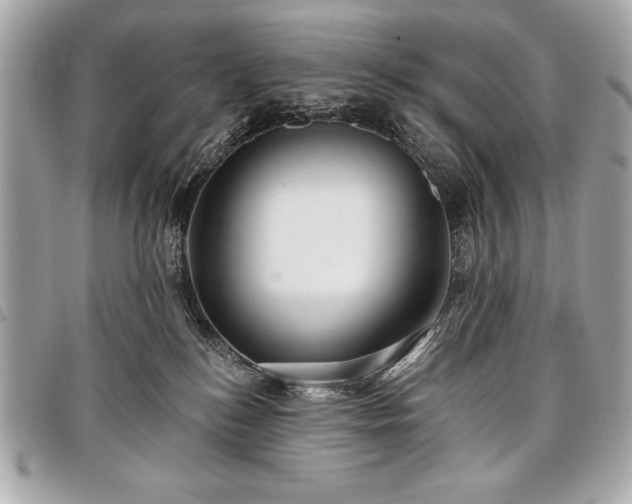 X0000098010184200804071337