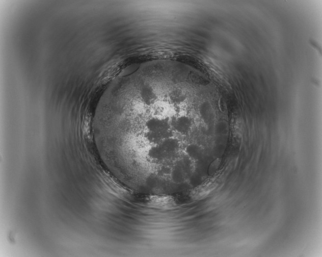 X0000098010185200804071337