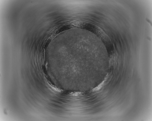 X0000098010186200804071337