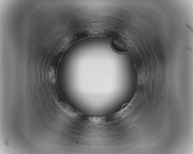 X0000098010187200804071337