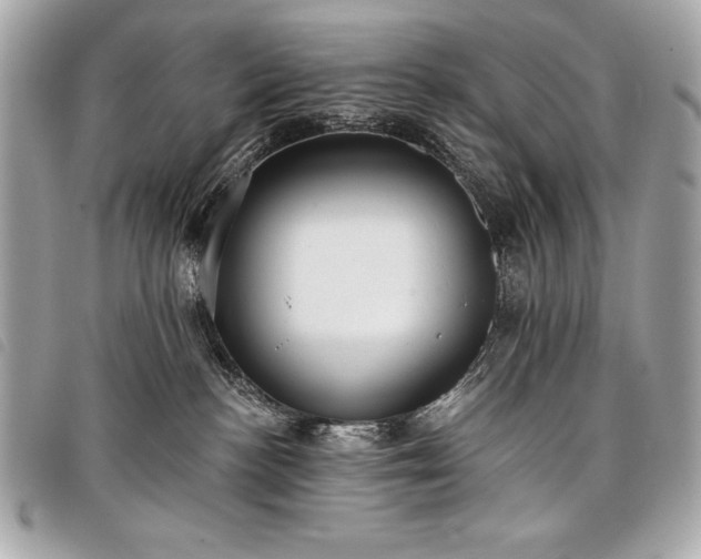 X0000098010188200804071337