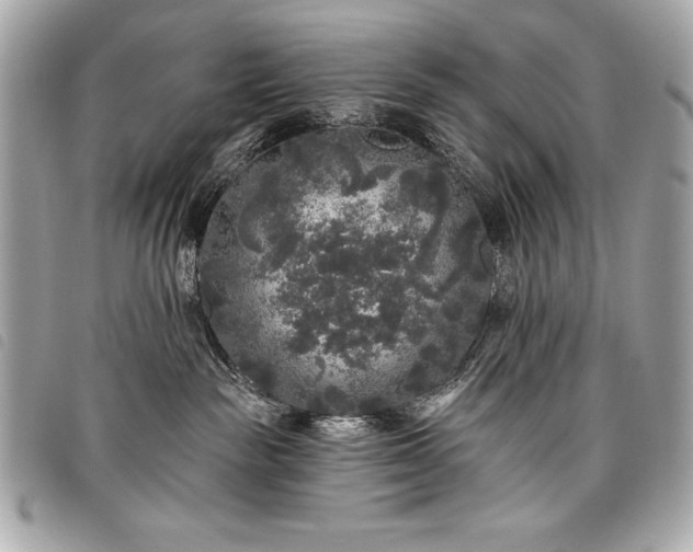 X0000098010189200804071337