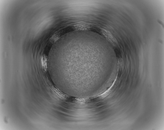 X0000098010190200804071337