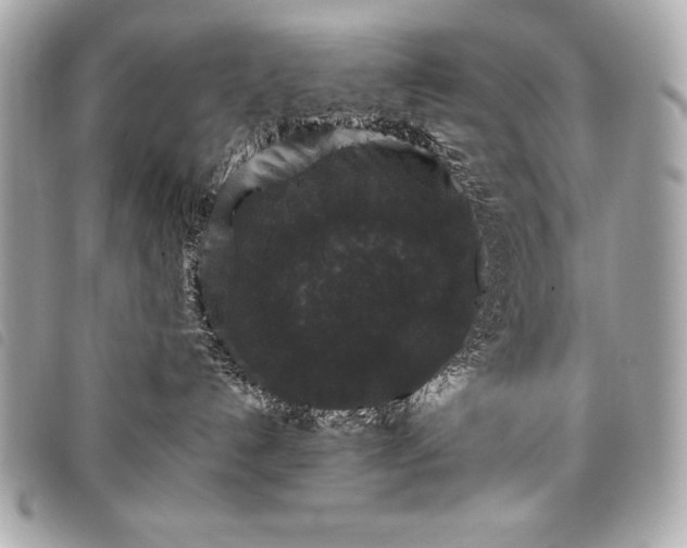 X0000098010192200804071337