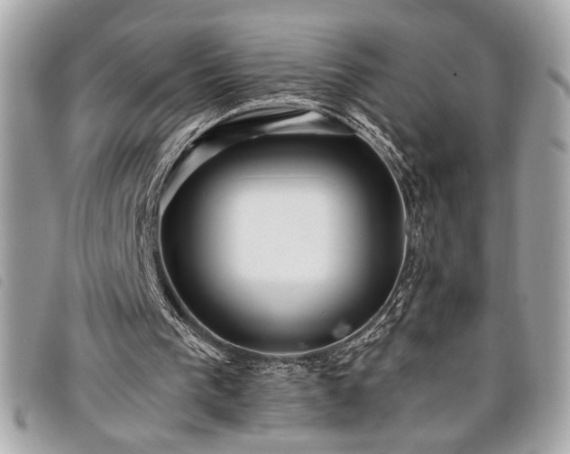 X0000098010193200804071336