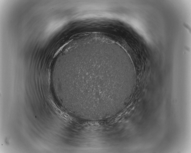 X0000098010194200804071336