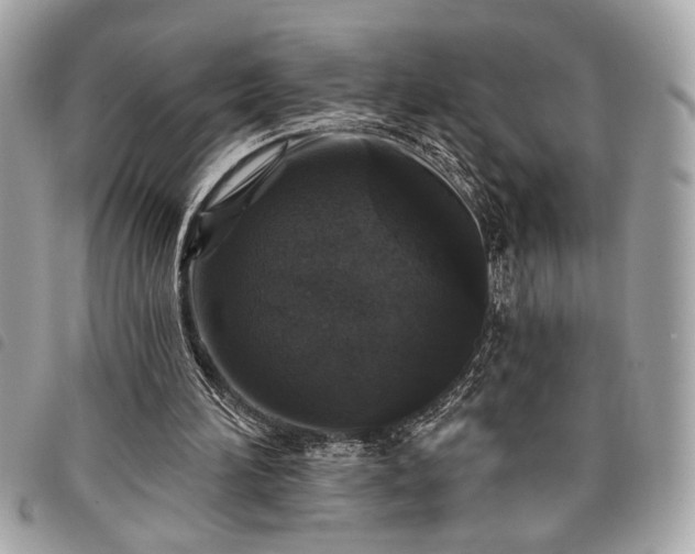 X0000098010196200804071336