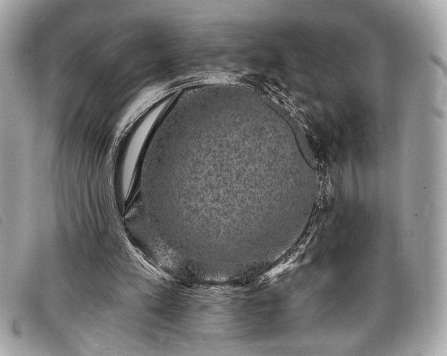 X0000098010197200804071336