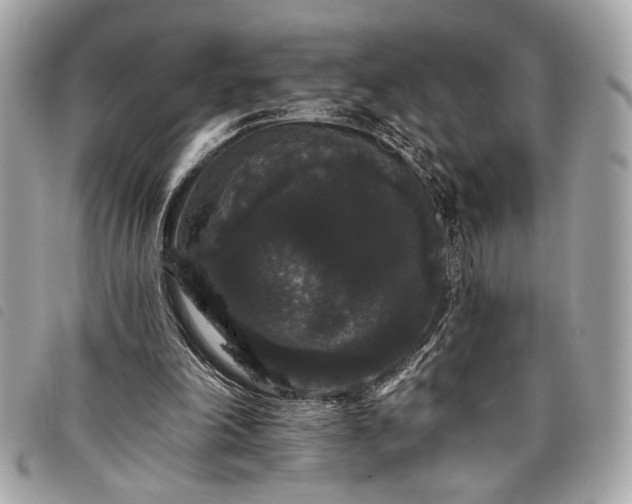 X0000098010198200804071336