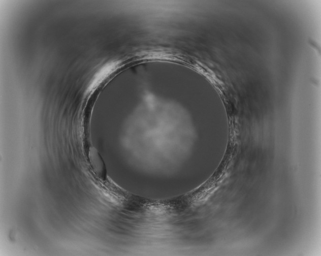 X0000098010199200804071336