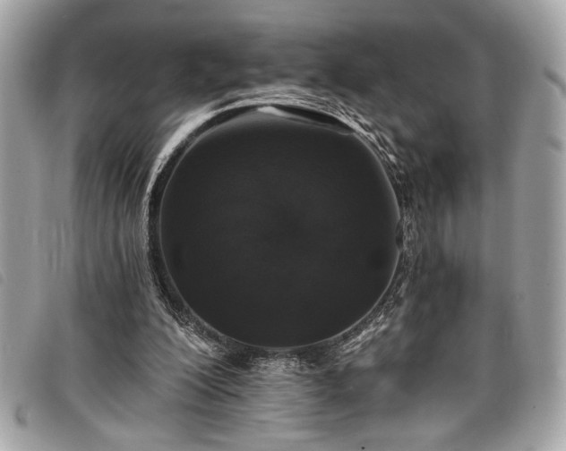 X0000098010200200804071336